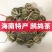 海南特产鹧鸪茶产地批发一串20个
