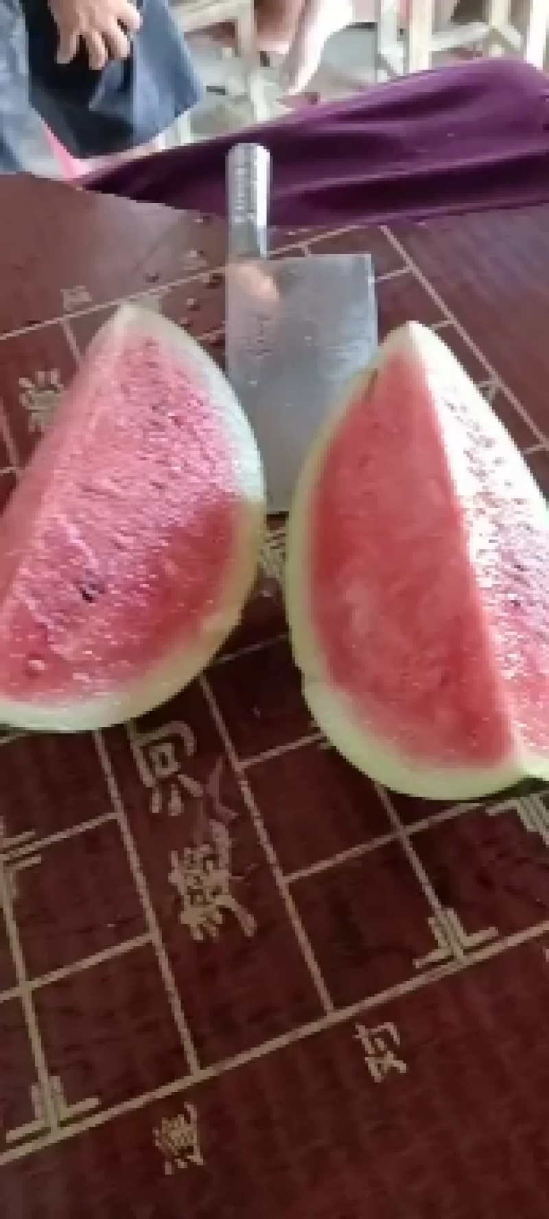 黄土地露天自根苗美都