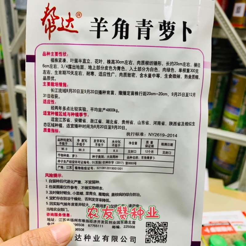 帮达羊角青萝卜种子生食微辣，熟食质糯耐寒青萝卜种籽
