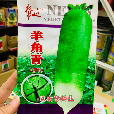 帮达羊角青萝卜种子生食微辣，熟食质糯耐寒青萝卜种籽