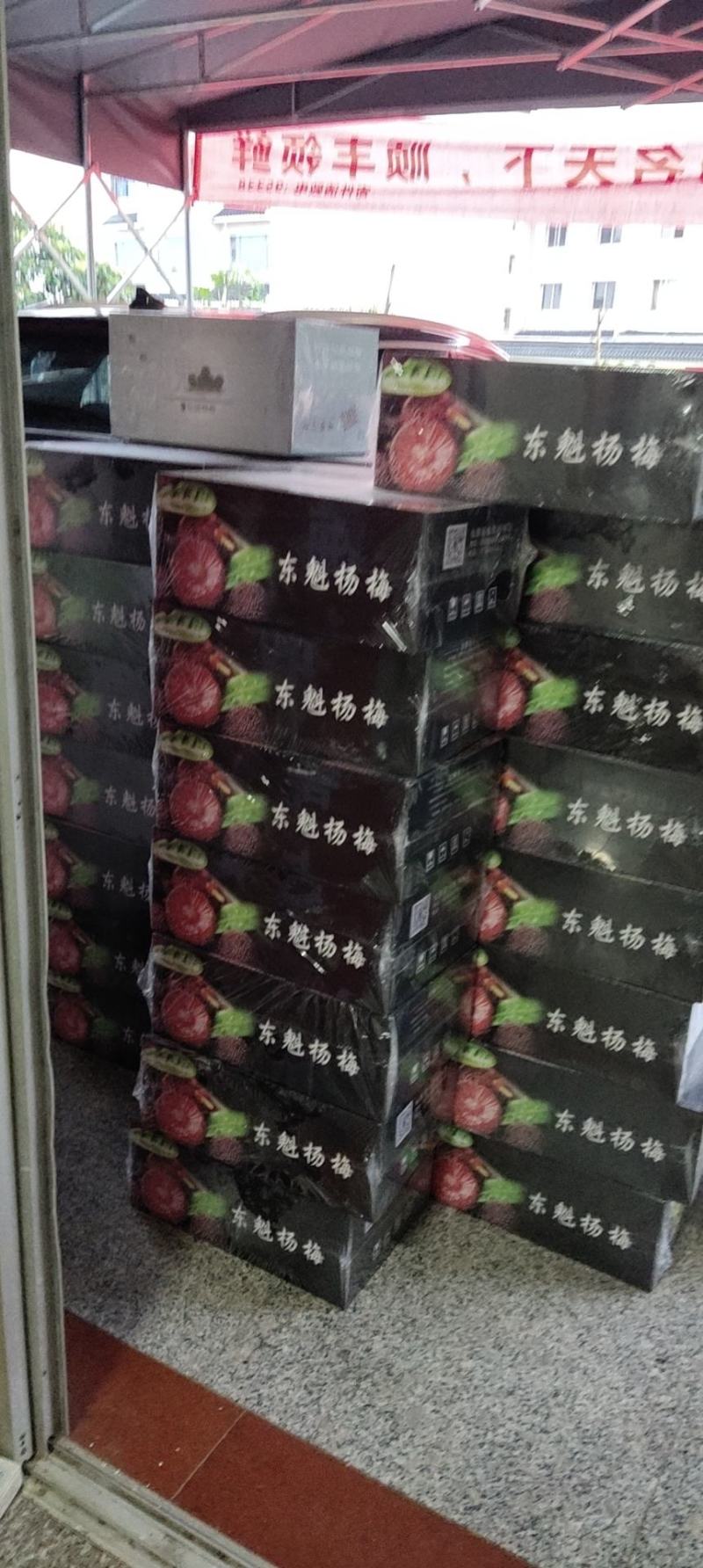 东魁杨梅新鲜采摘杨梅仙居杨梅一件代真空包装