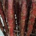 大块肉里脊大块肉麻辣牦牛肉味腊牛肉五香条形牛肉