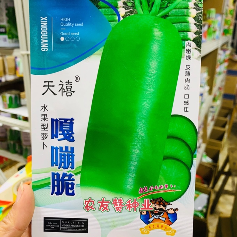 天禧嘎嘣脆小叶露头青萝卜种子皮薄甜脆青皮肉绿萝卜种