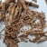 地骨皮身皮统货批发品种齐全量大从优品种齐全