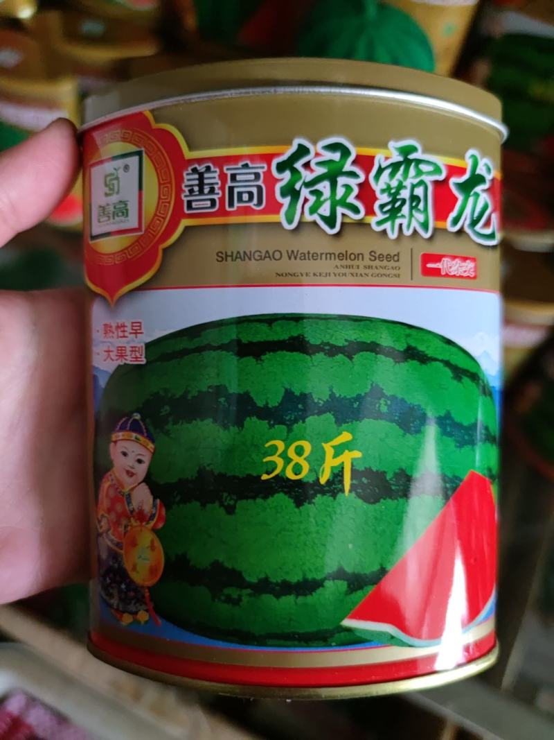 善高冰糖麒麟w西瓜种子，50克，糖度好口感好