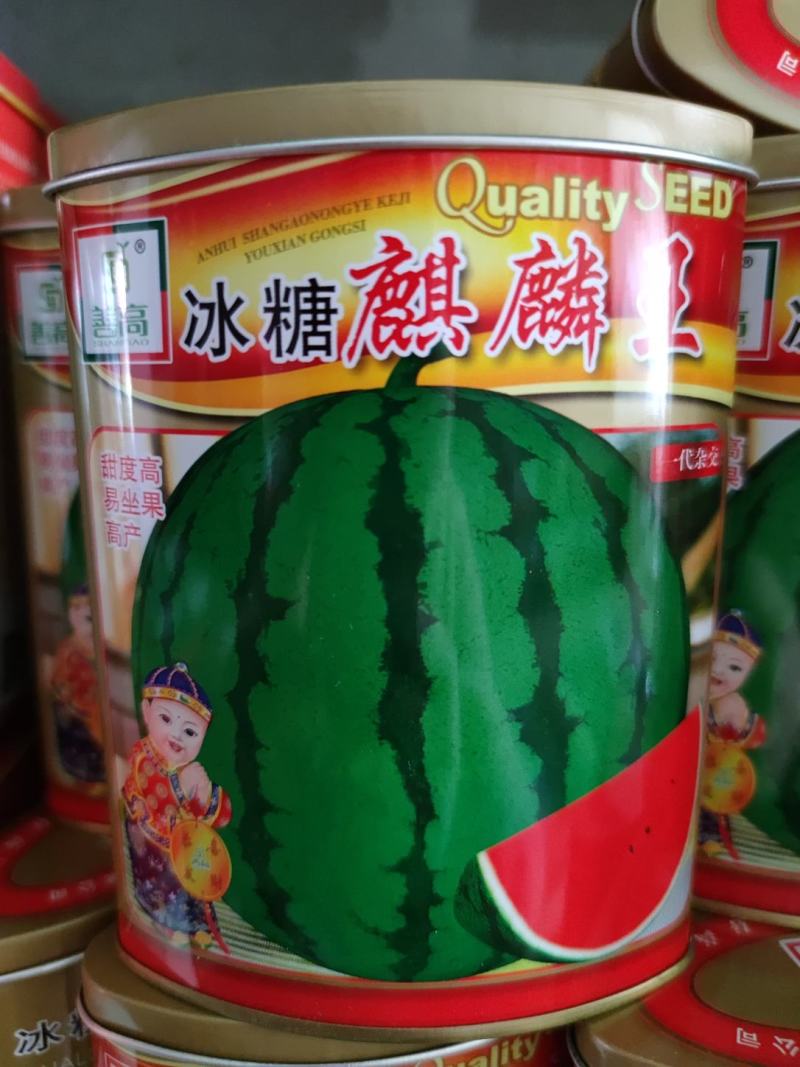 善高冰糖麒麟w西瓜种子，50克，糖度好口感好