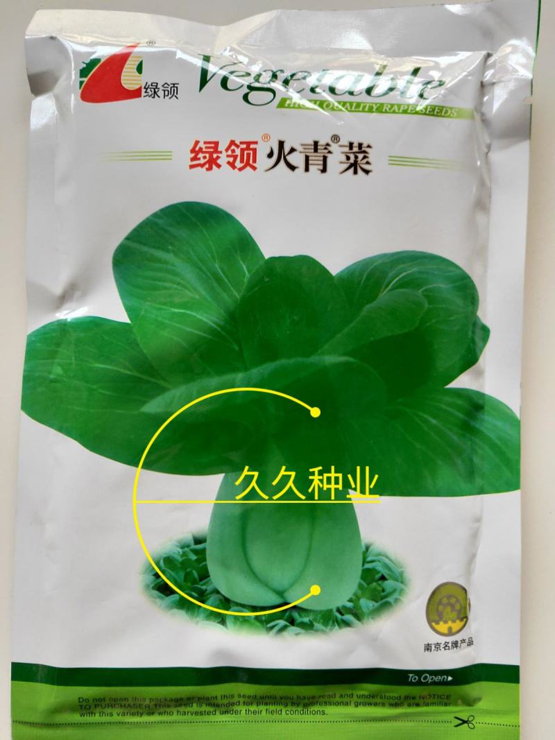 绿领火青菜种子上海青耐热耐湿抗病高产口感好杂交青梗菜种