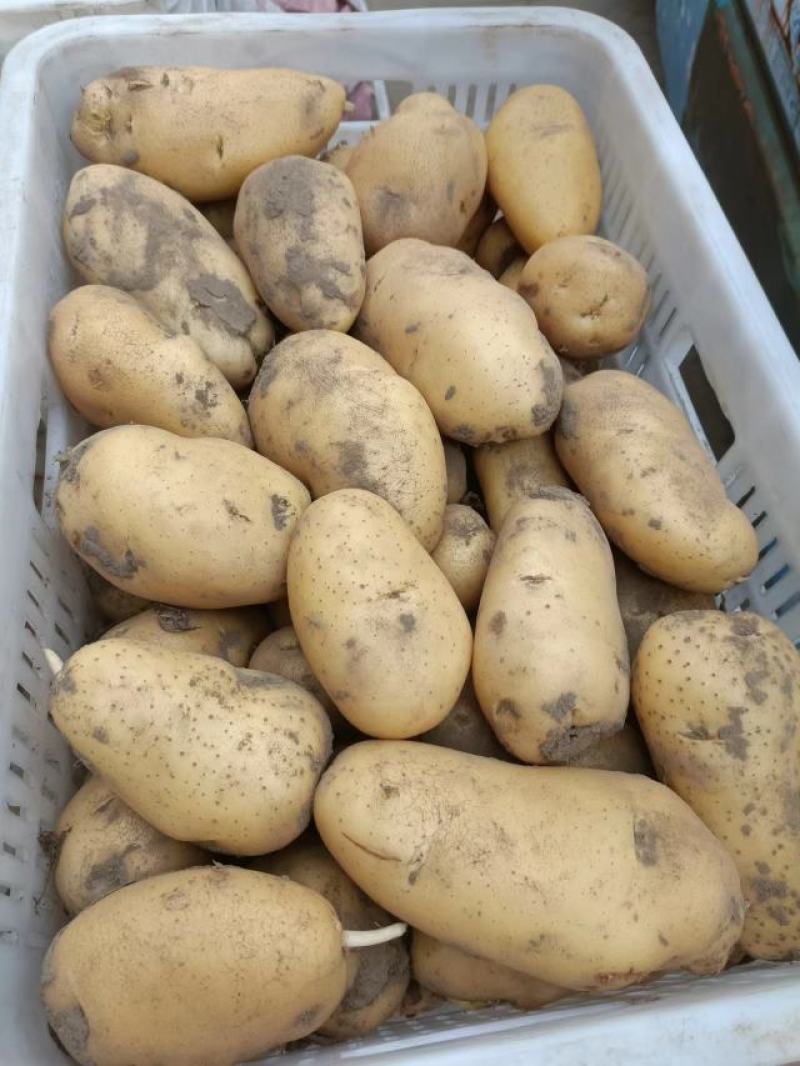 电商一件代发需要的联系