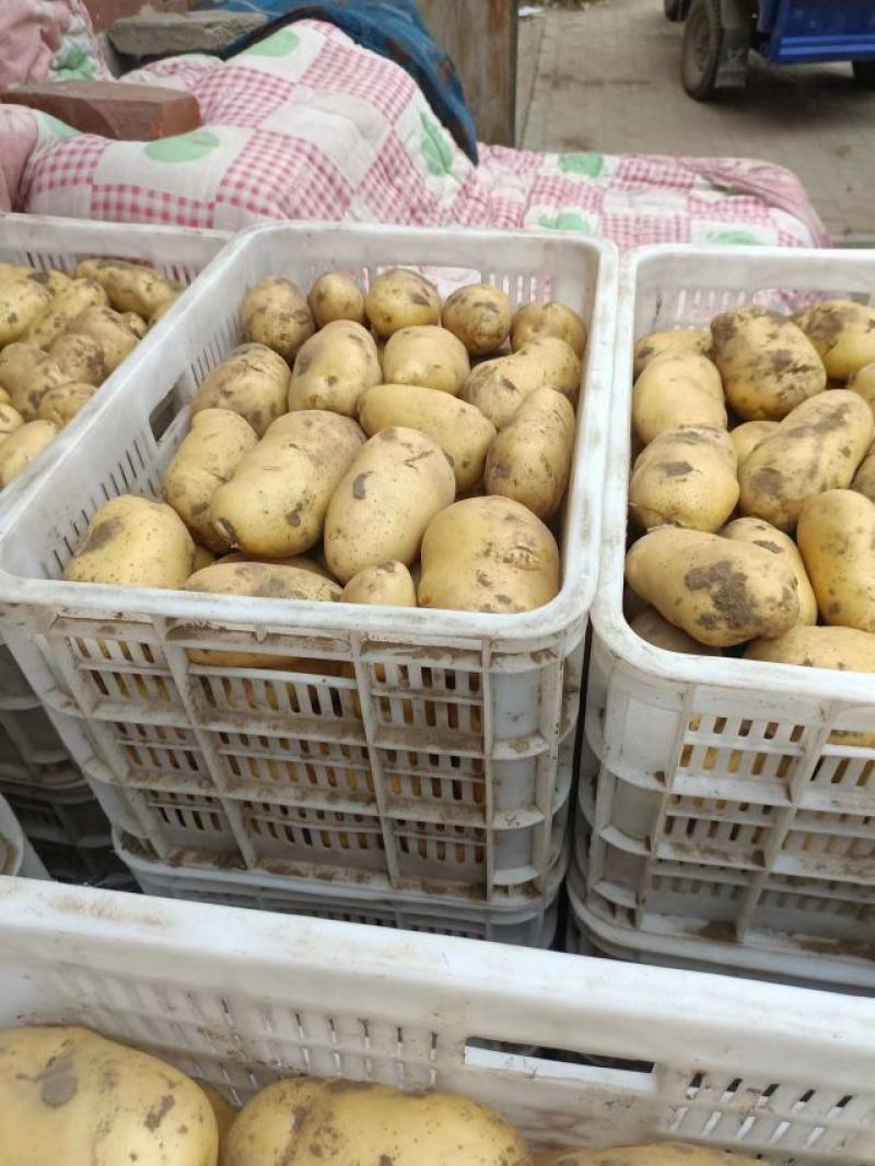 电商一件代发需要的联系