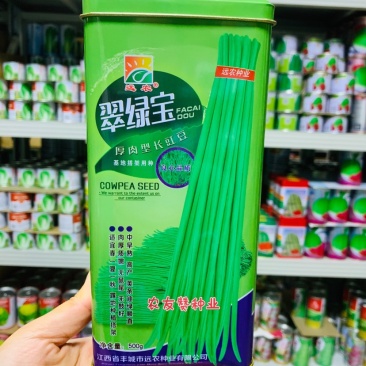 翠绿宝长豇豆种子油亮翠绿色豆角种子肉厚质嫩无鼠尾无鼓籽