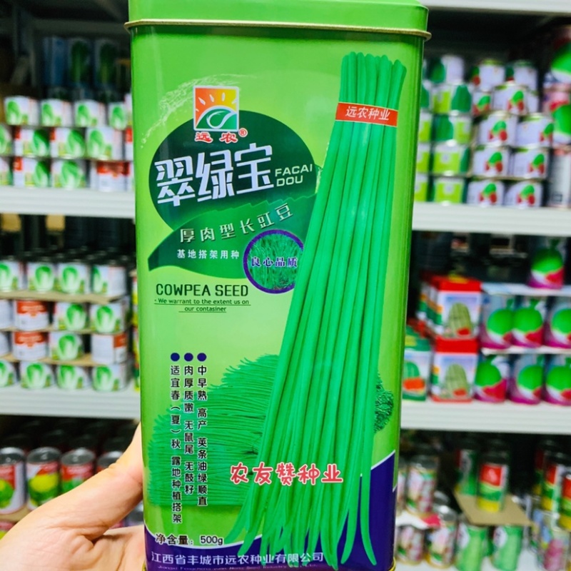翠绿宝长豇豆种子油亮翠绿色豆角种子肉厚质嫩无鼠尾无鼓籽
