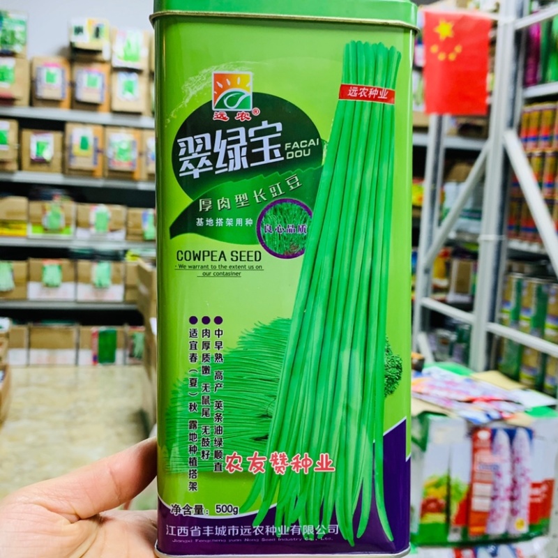 翠绿宝长豇豆种子油亮翠绿色豆角种子肉厚质嫩无鼠尾无鼓籽