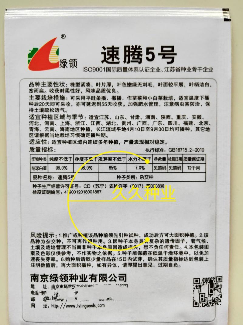 绿领速腾5号快菜青菜种子快菜种籽高产抗病包邮蔬菜种子