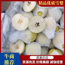 雪梨精品上市保质保量全国代发