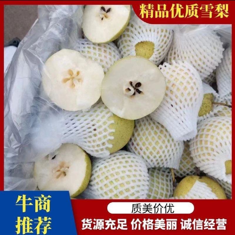 雪梨精品上市保质保量全国代发