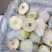 雪梨精品上市保质保量全国代发
