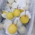 雪梨精品上市保质保量全国代发