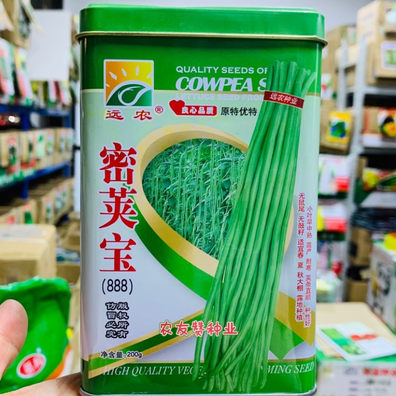 南菜北运菜农理想品种密荚宝豇豆种子籽少肉厚嫩绿色豆角种