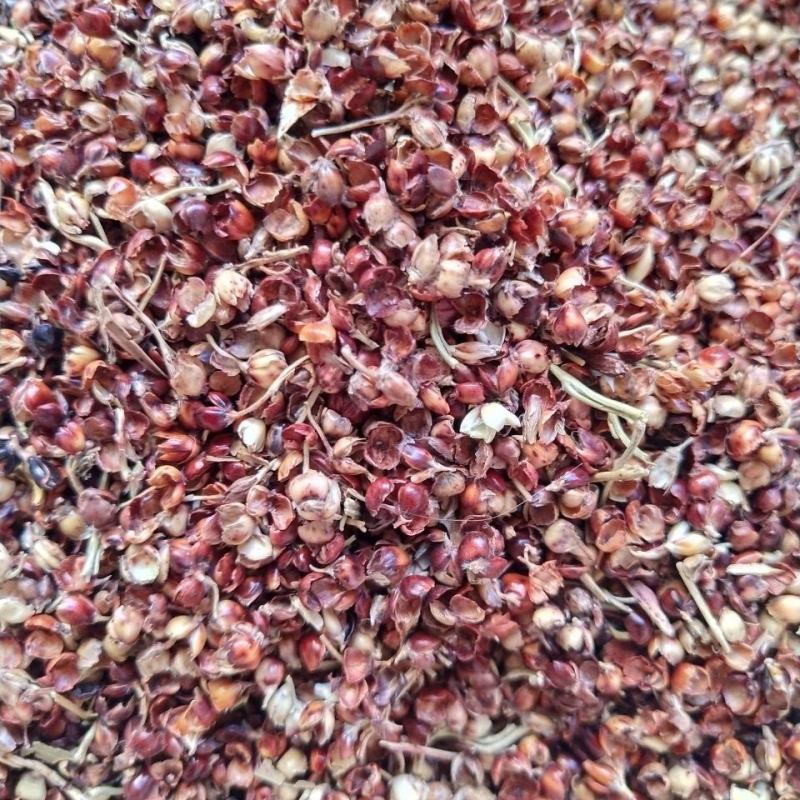 厂家直销高粱壳碎高粱畜牧牛羊用高粱壳量大优惠