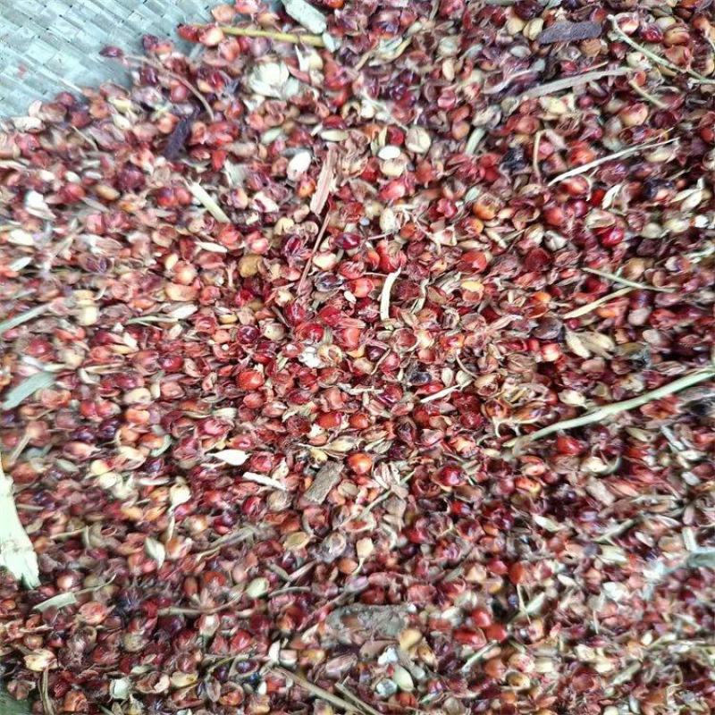 厂家直销高粱壳碎高粱畜牧牛羊用高粱壳量大优惠
