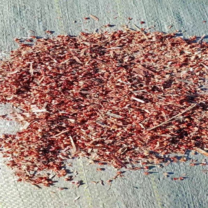 厂家直销高粱壳碎高粱畜牧牛羊用高粱壳量大优惠