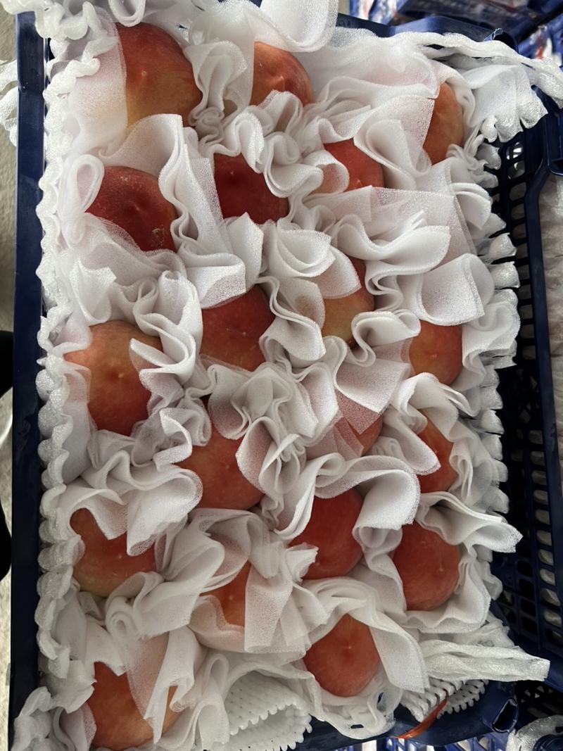 河北露天毛桃突围红梅大量上市，品质超高，口感超甜