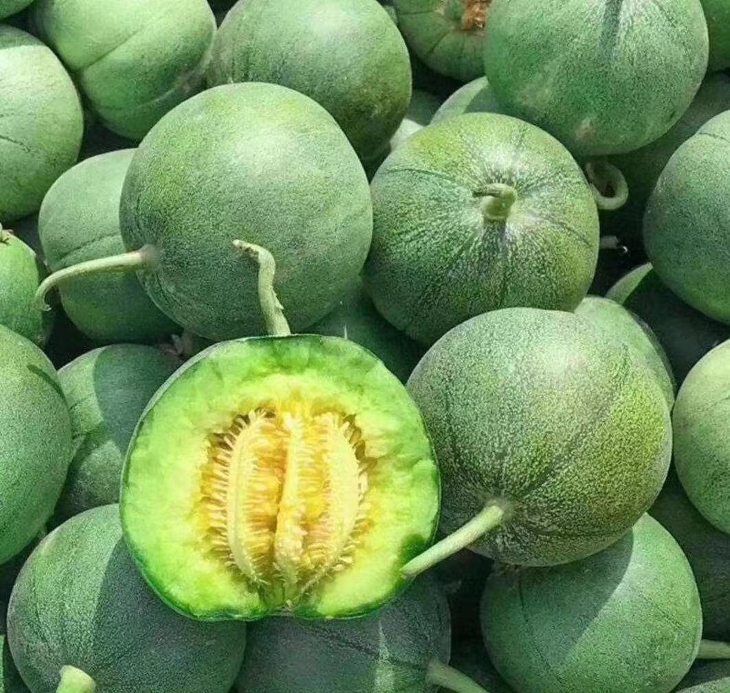 展示一个完整、成熟的正宗绿宝甜瓜,果皮翠绿、表面光滑,切开后果肉洁白、质地细腻 正宗绿宝甜瓜特写