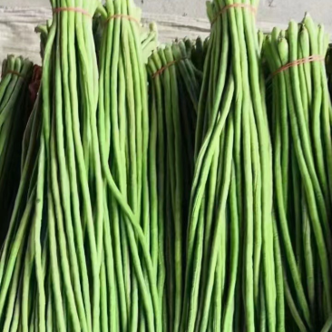 保山施甸豇豆大量上市。