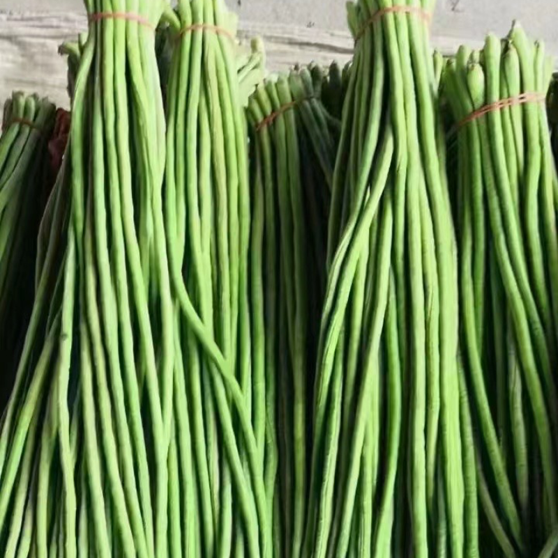 保山施甸豇豆大量上市。