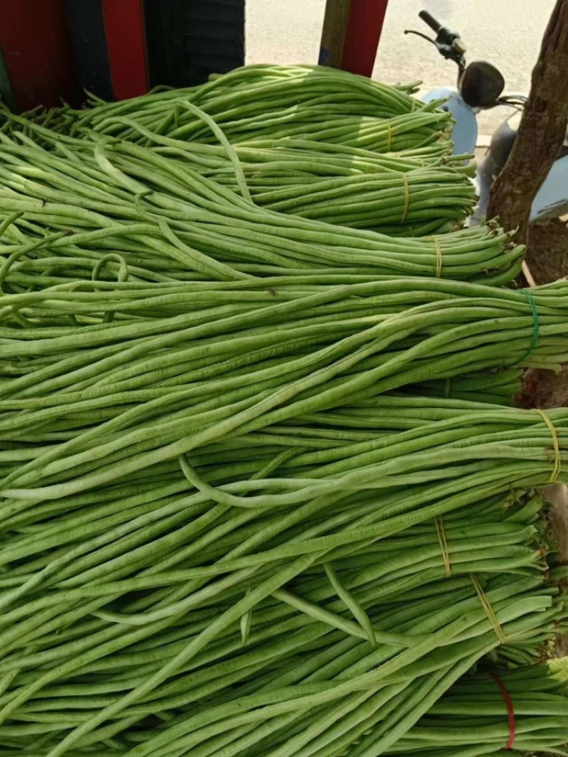 保山施甸豇豆大量上市。