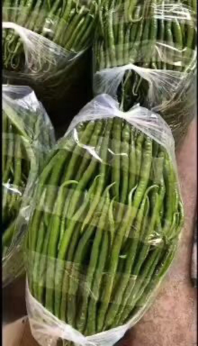 云南保山施甸。大量现货土豆，黄，红，红薯紫色。