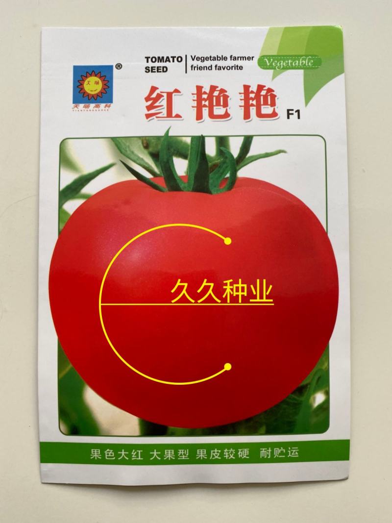 大红果番茄种籽庭院阳台西红柿种子春夏秋冬四季高产蔬菜种孑