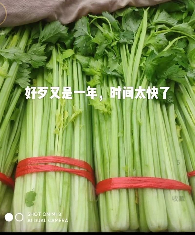 芹菜，菌棒