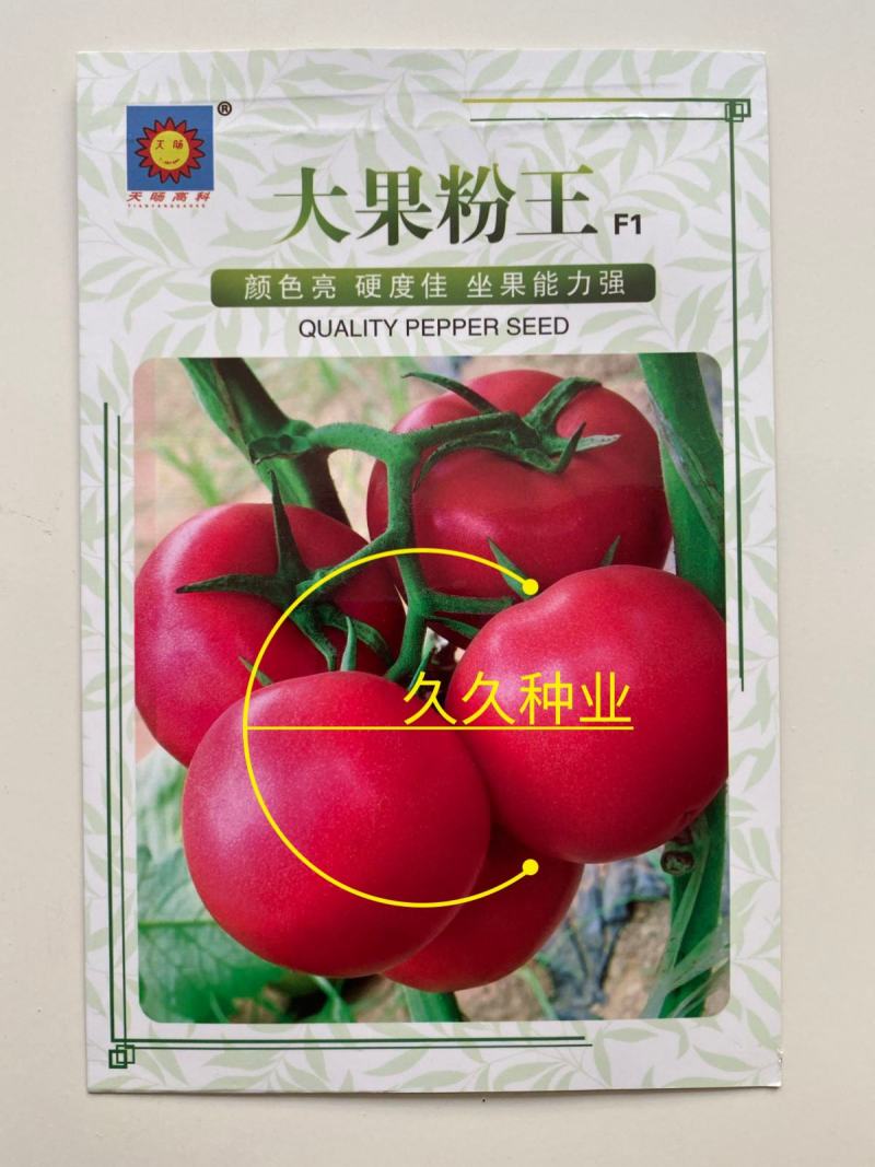 大果粉王西红柿种子大棚早熟抗病粉王西红柿种籽耐热四季蔬菜
