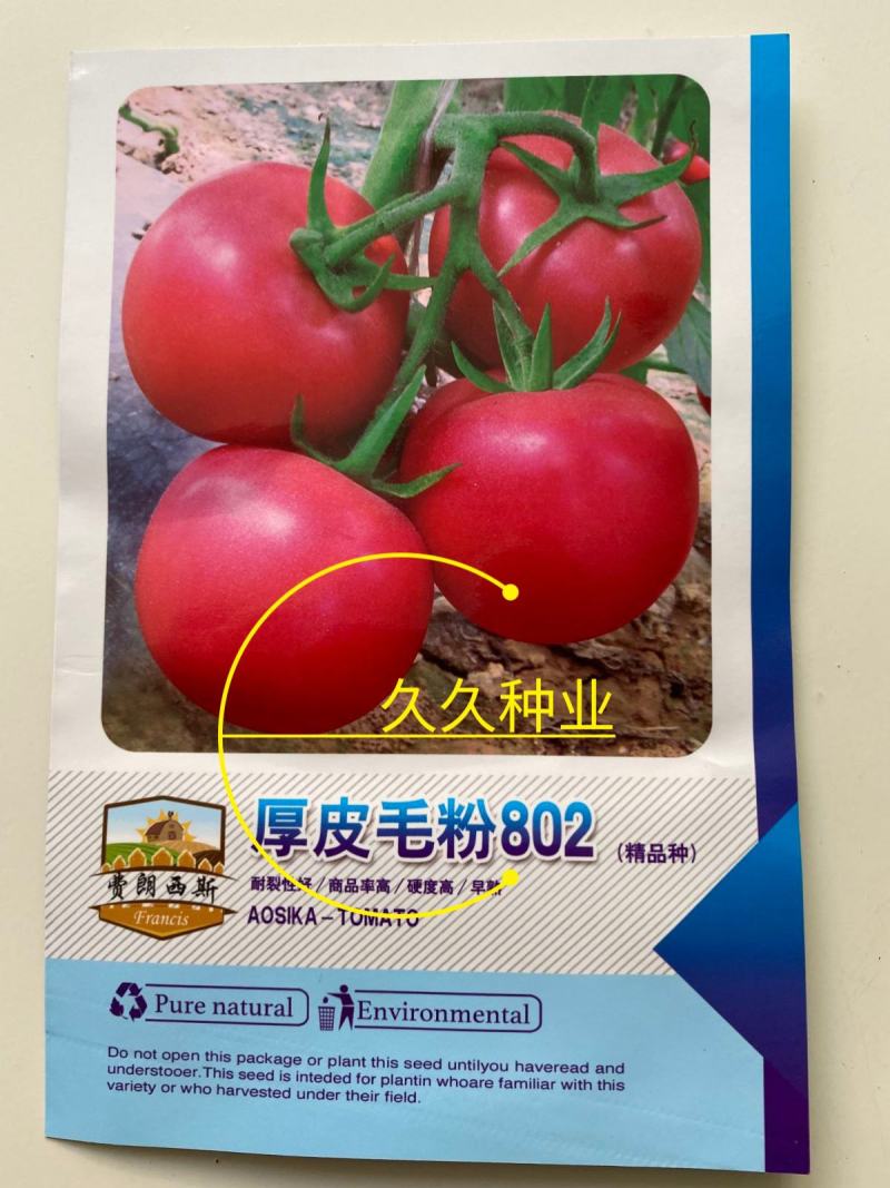 厚皮毛粉802西红柿种子早熟抗病高产大果菜园大田蔬菜种子