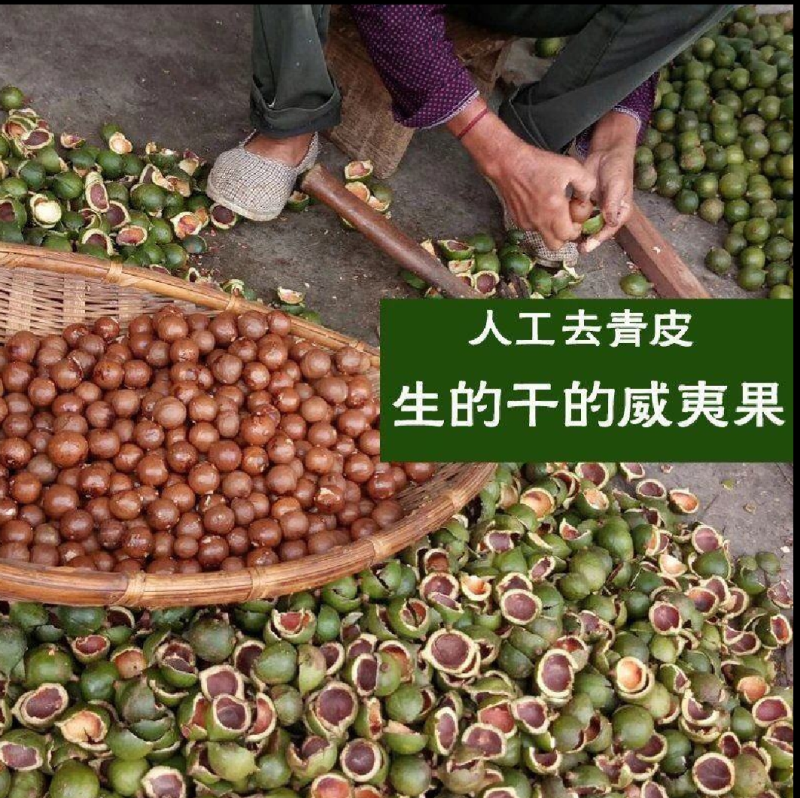 新货夏威夷果奶油味坚果炒货干果休闲零食十斤包邮