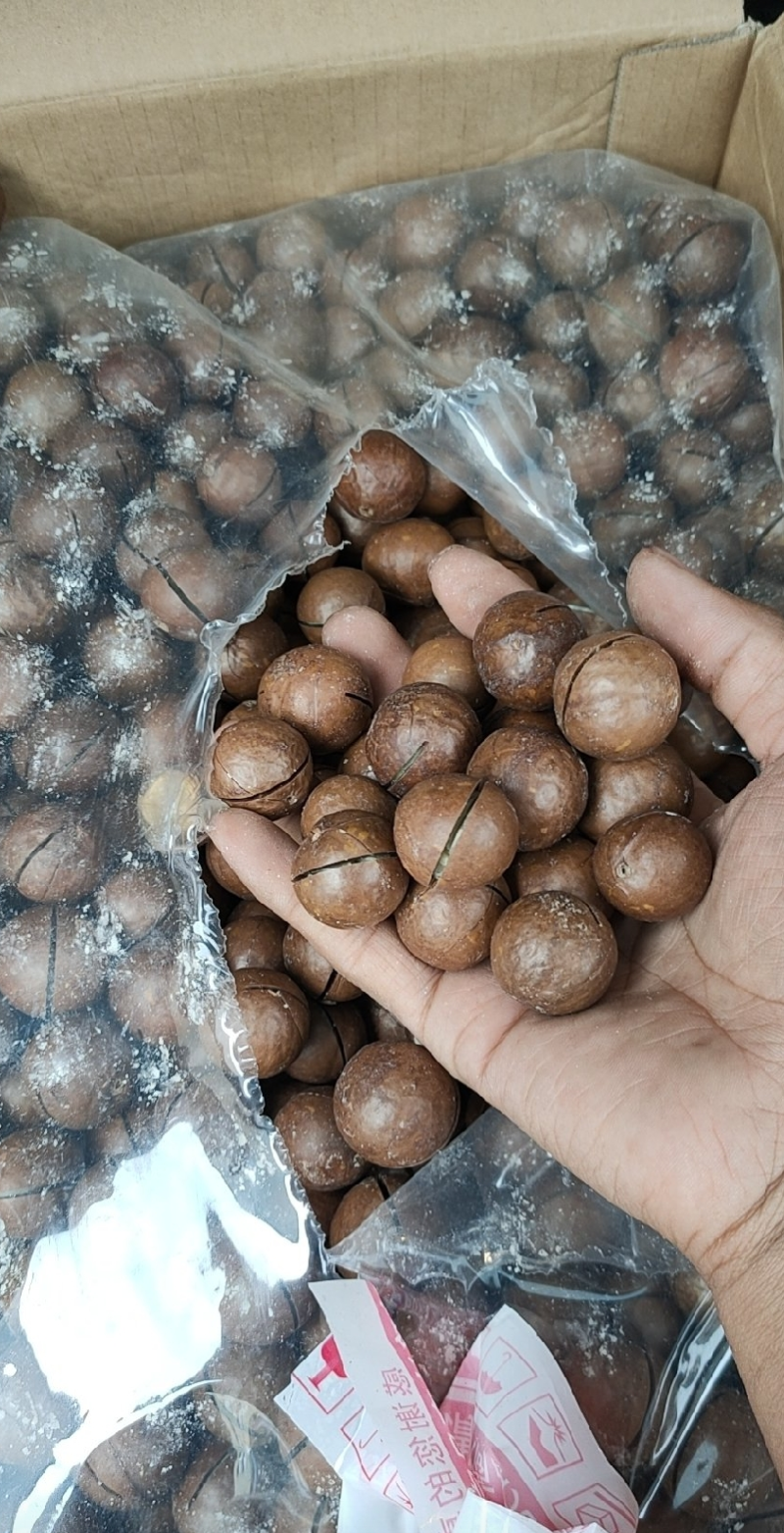 新货夏威夷果奶油味坚果炒货干果休闲零食十斤包邮