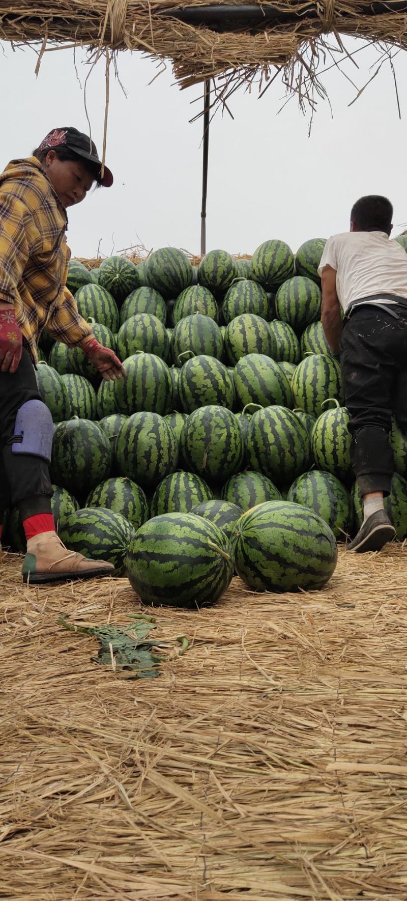 甜王