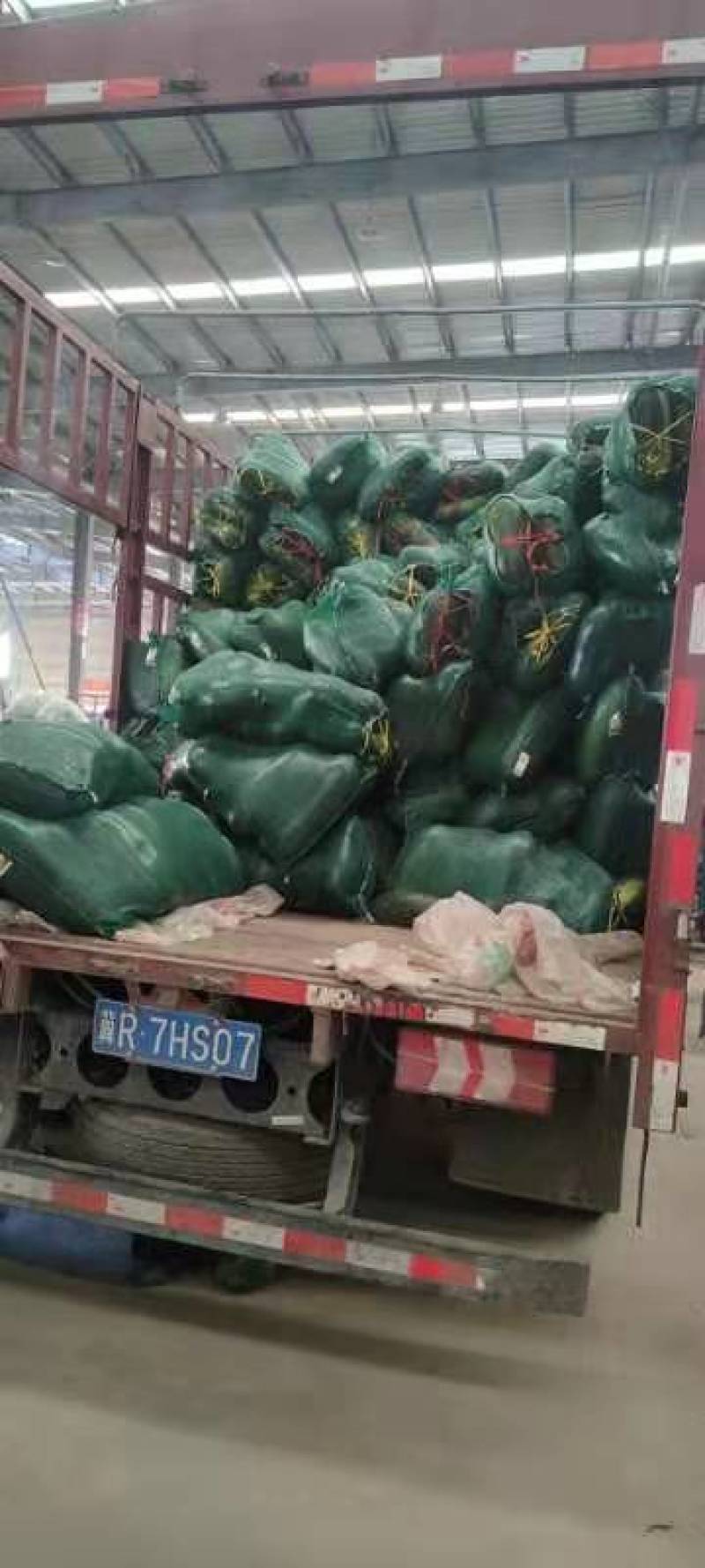 河南南阳新野黑皮冬瓜，地冬瓜，吊冬瓜，大量现货供应