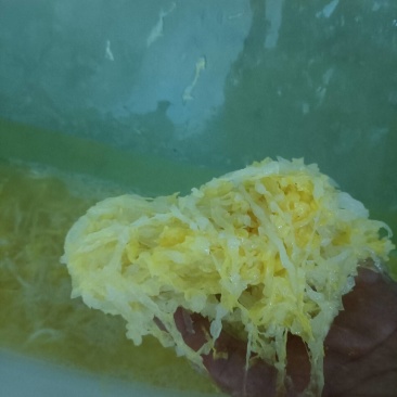 批发正宗东北特产酸菜