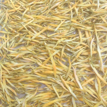 优质生直条，货量有限，需要的老板及时联系！