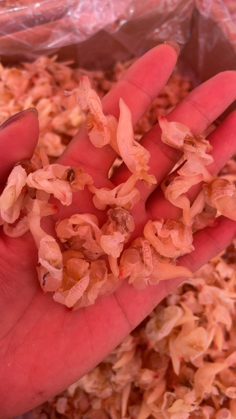 淡干蛤蜊肉花甲肉花蛤肉干货无杂质干度好