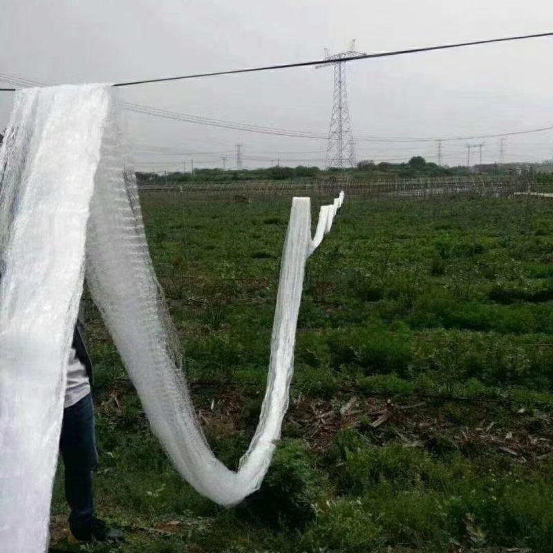 宗丝防鸟网