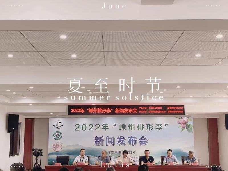 桃形李