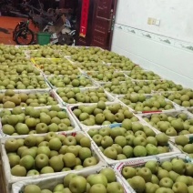 承接：电商发货。水果店里销售，水果市场批发
