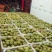 承接：电商发货。水果店里销售，水果市场批发