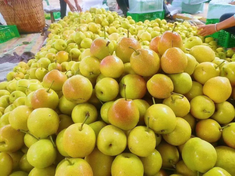 蜂糖蜜梨🍐🍐🍐