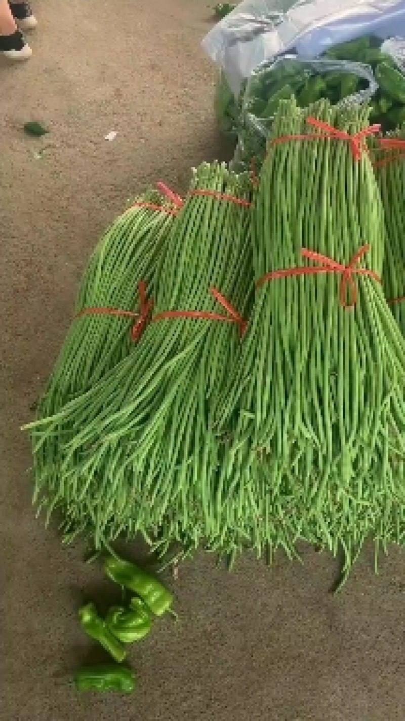 精品长豆角，基地代办，青绿色，豌豆，豇豆，代发全国