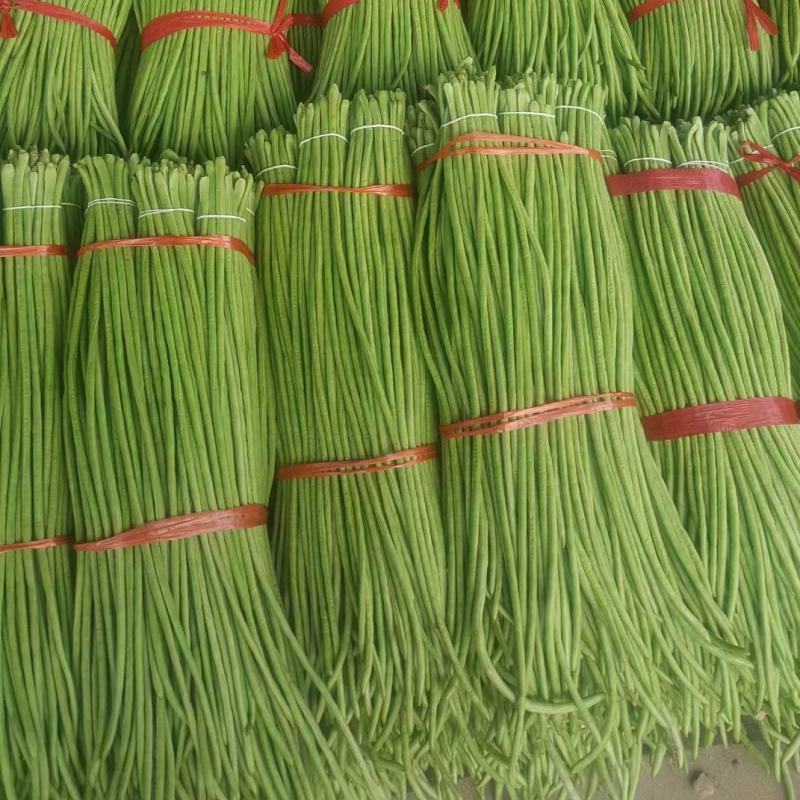 精品长豆角，基地代办，青绿色，豌豆，豇豆，代发全国