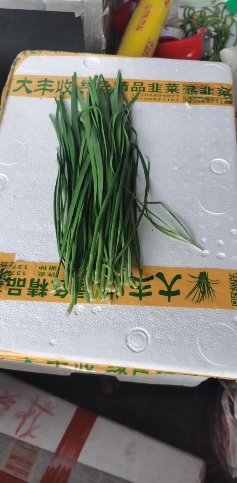 791韭菜种子抗病耐热商品性强抗寒性强效益好适应性广